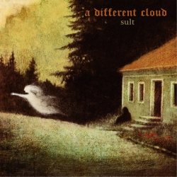A DIFFERENT CLOUD - Sult